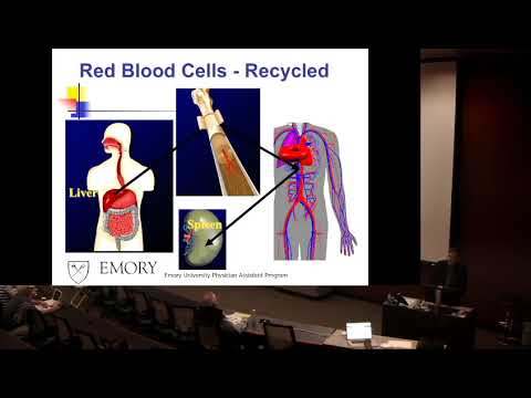 download lagu mp3 mp4 Physician Assistant Board, download lagu Physician Assistant Board gratis, unduh video klip Physician Assistant Board