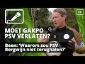 Mario Been: 'PSV moet Bergwijn terughalen'