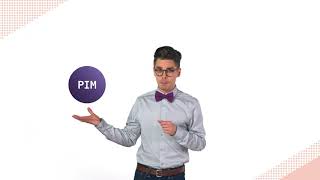 Plytix video