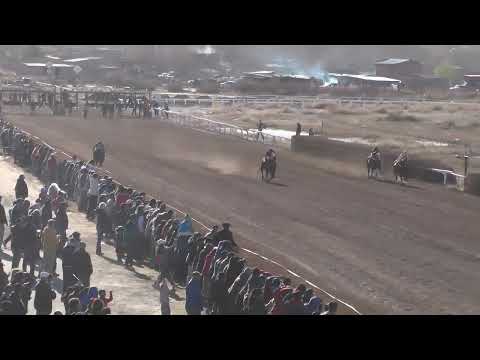 Décima sexta carrera, Clásico Turf Regional, distancia 300 metros