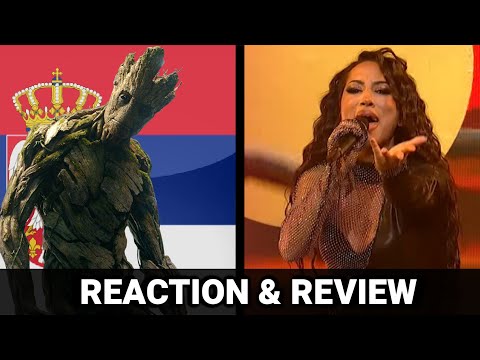 Zejna - Rumba (Reaction & Review)