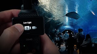 Re: [選購] A7C2 Vlog錄影鏡頭選購&問題