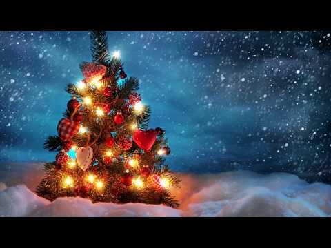 O Velhinho  (Música de Natal)