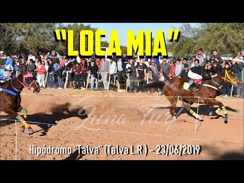 HIP. "TALVA" EN TALVA (Olta L.R.) - 23/06/2019 - LOCA MIA vs REGALONA