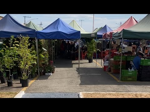 CONHECENDO A FEIRA LIVRE DE CALDAS NOVAS – GOIÁS!