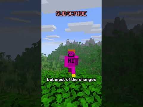 YOU CAN NOW CUSTOMIZE THE F3 MENU