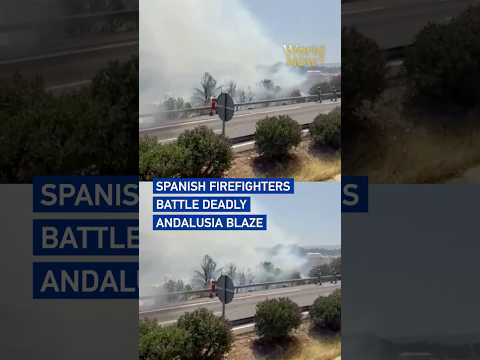 Spanish firefighters battle deadly Andalusia blaze