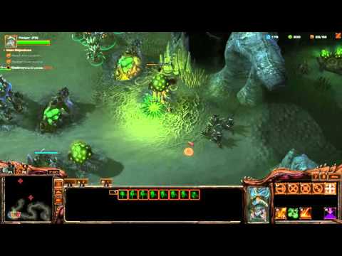 Starcraft 2: Shadow of the Brood 07 - The Fall of the Queen