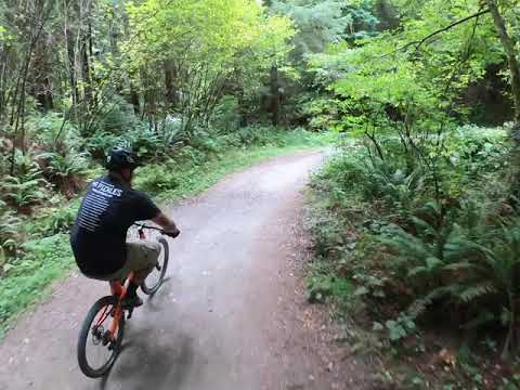 Arcata Forest - New Jumps!