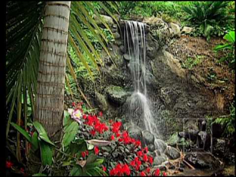 Psalm 38 - The Psalms Collection