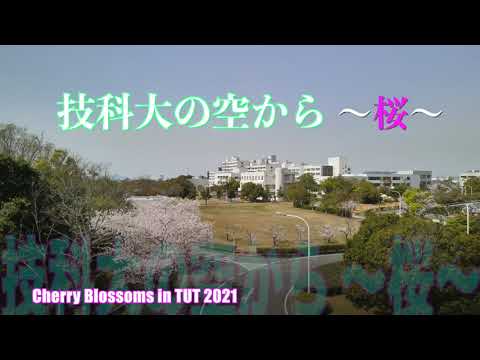 技科大の空から －桜　Cherry Blossoms in TUT 2021