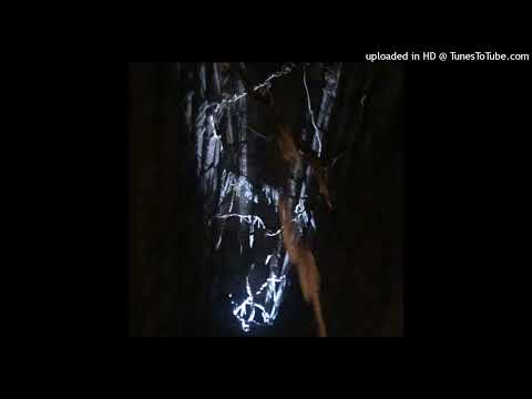 matiskater x mazurek - licze dolary *rare*