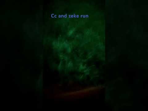 cc and Zeke run