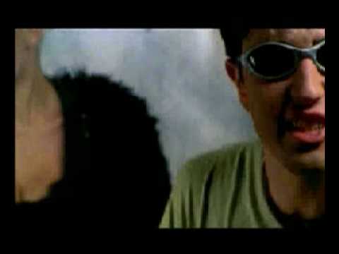 STAYERC PRODUCTION   Funky