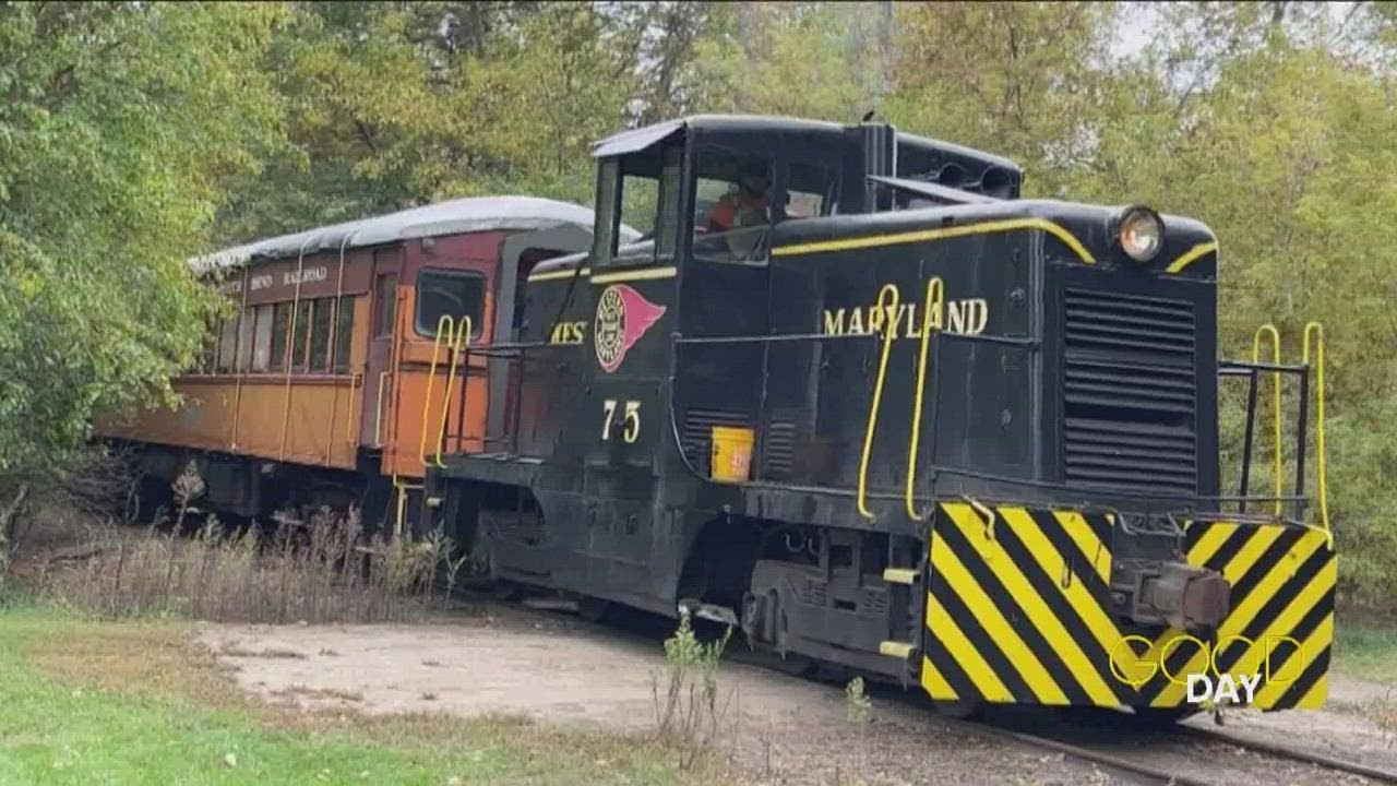 'All aboard!' Check out fall foliage on a local locomotive | Good Day on WTOL 11