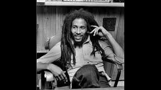 Bob Marley  &quot;Top Ranking Demo Survival 79 HQ&quot;