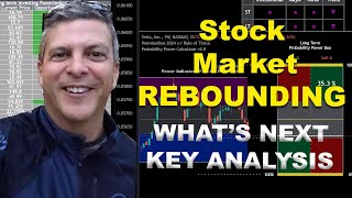 Stock Market REBOUNDING (WHAT