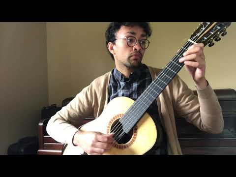 Hans Neusidler - Dutch Dance played by Abshir Miller