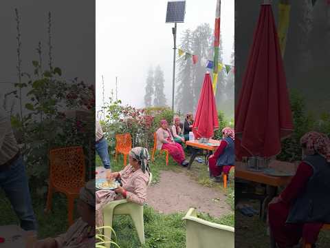 Most Peacefull Dhaba in Hamta Pass, Himachal ❤️ #youtubeshorts
