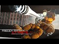 Freddy Engage EXTREME Opening 4K