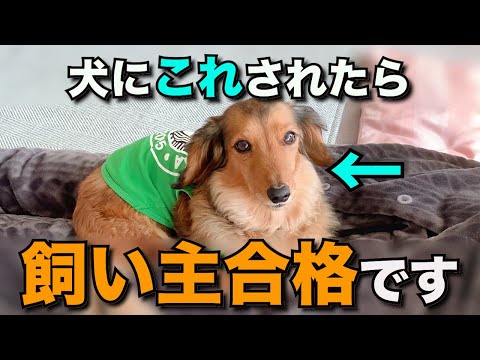 私の犬が他の犬にマウンティングするのはなぜですか?