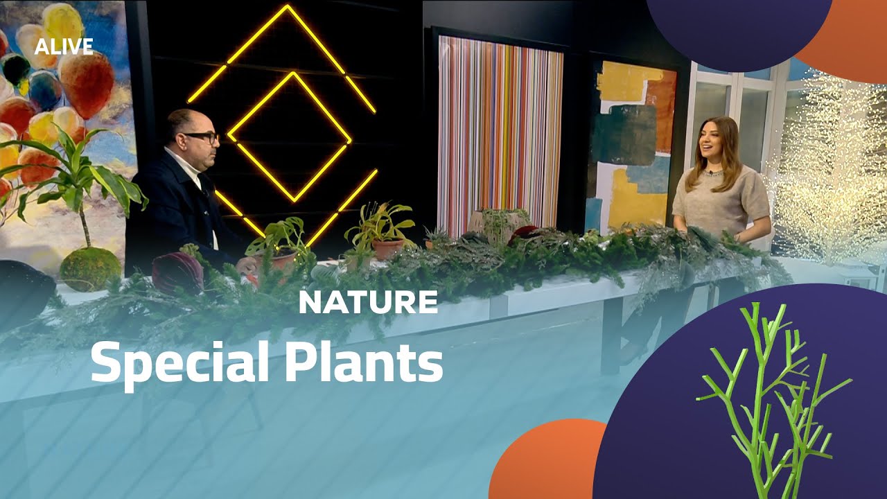 Nature - 27/12/2025 - Special Plants