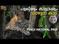 Pench National Park The Tiger Capital Of India Forest Safari In Maharashtra