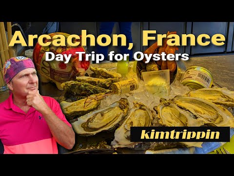 Solo day trip to Arcachon France from Bordeaux