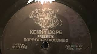 Vinyl Versions Kenny dope dope beats vol 3
