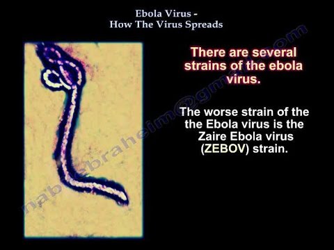 Ebola Virus ,How The Virus Spreads - Everything You Need To Know - Dr. Nabil Ebraheim