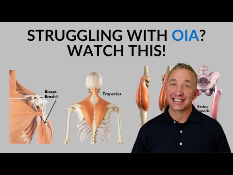 Muscle Origin, Insertion & Action: Study Tips (Muscular System)