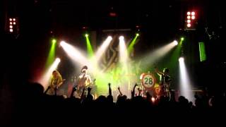 Visaci zamek, Fleda 8.12.2010, Stromecek