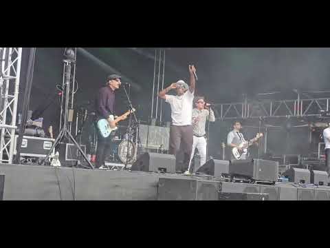 Dub Pistols -  'Gangsters'