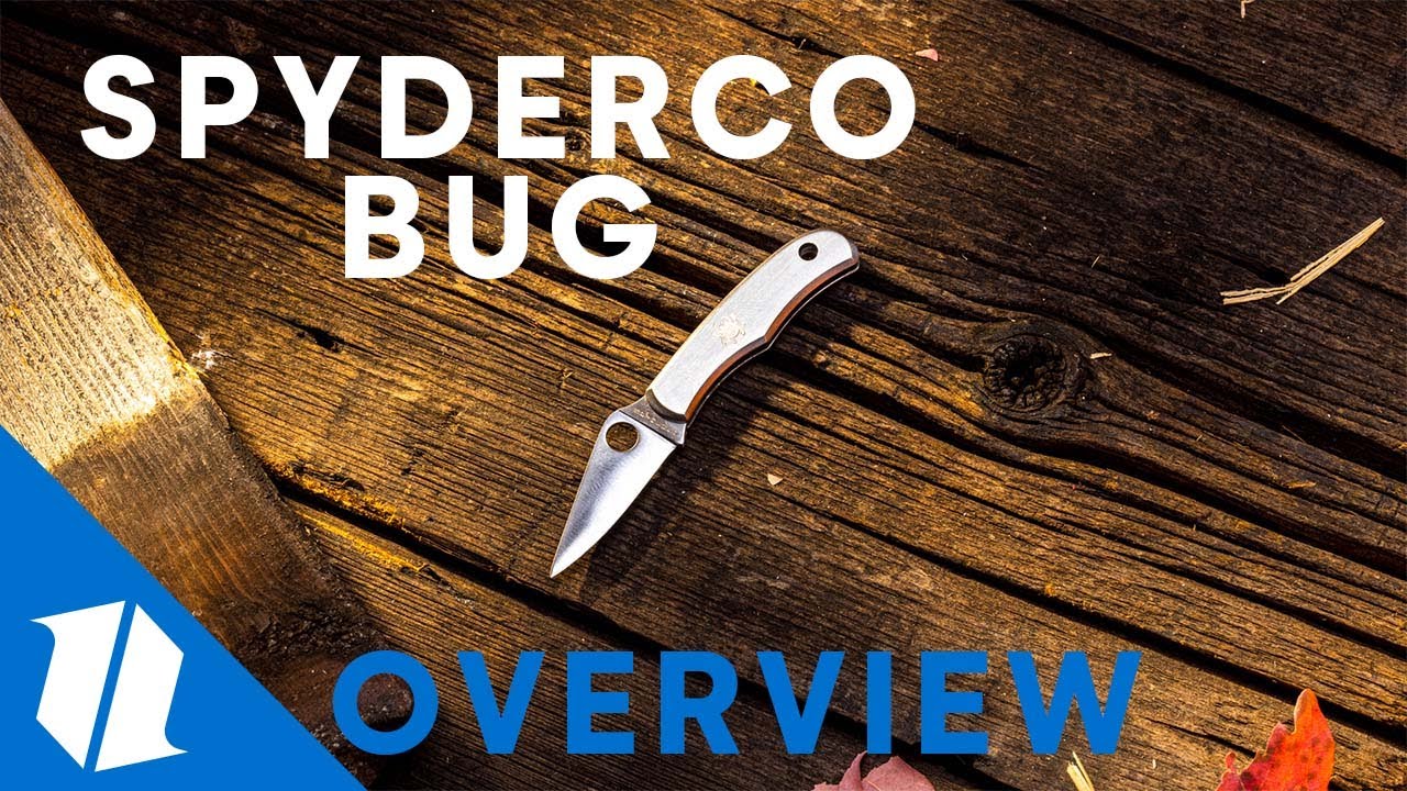 Spyderco  Bug Stainless SS Mini Folding Keychain Knife (1.31" Satin) C133P