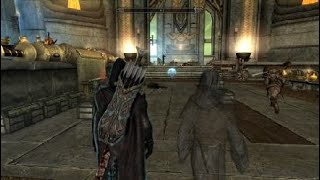 Skyrim too many mods