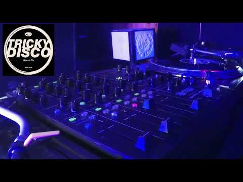 Tricky Disco – House Fly