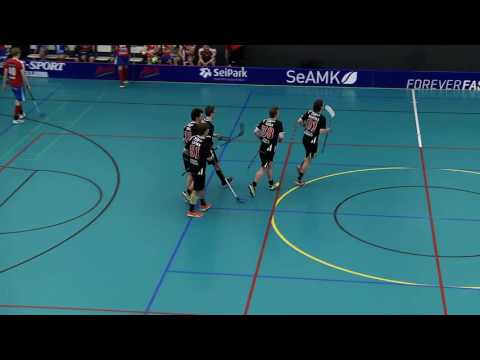 MAALIKOOSTE SPV - HAPPEE 21.1.2017