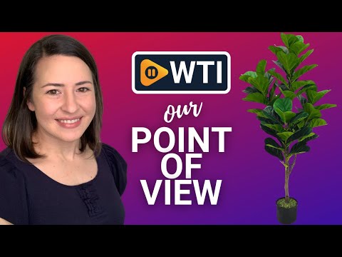 JNT Artificial Fiddle Leaf Fig Tree 4ft - WTI product video review