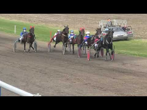 Trka "Skupština opštine Srbobran" 01.11.2020 Virna Lisi - Dejan Katanić