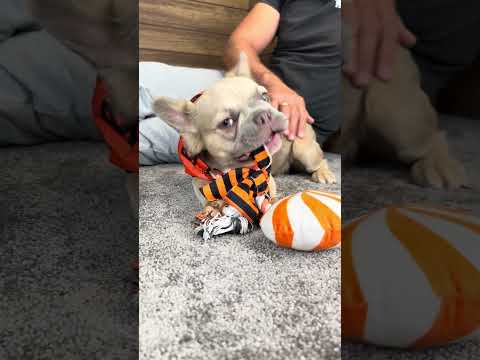 Video 7