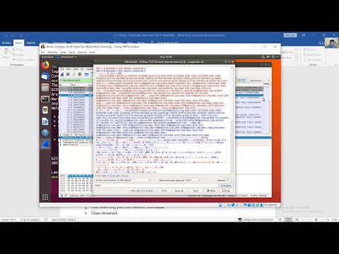 9.1.1.8 Lab - Examining Telnet and SSH in Wireshark