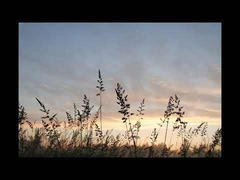 That Just Ain't Enough for Me - Stonekeepe #lucid #dreaming #music #relaxation #dream #healing