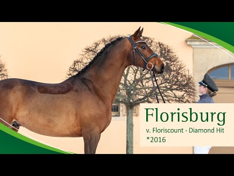 FLORISBURG v. Floriscount - Diamond Hit