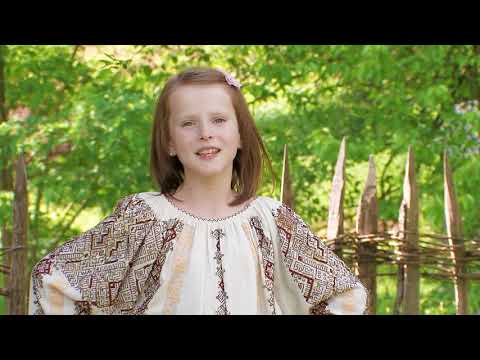 Oana Cristina Neacsu -  Foaie verde mar mustos