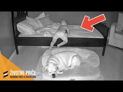 Svako jutro dete se probudi sa psom, ali ono što je kamera SNIMILA šokiralo je SVE!