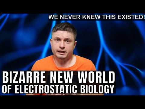 We Just Found a Mind-blowing New World of Electrostatic Biology