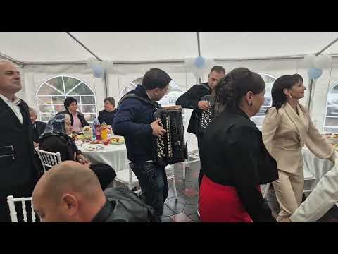 Aleksandar Antić - Svatovsko kolo , Konjuh🍷🪗