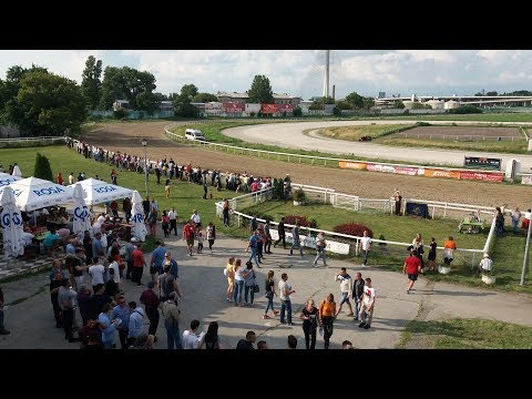 Cetvrti trkacki dan Beograd 14 07 2019