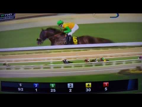 THUNDER ROAD (G 3)STAKES 2/10/18 - OM !!