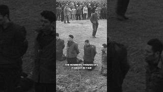 The Greatest Tragedy in Human History - Sarah Paine